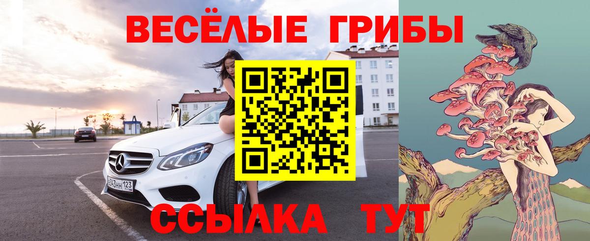 Мурино  Галлюциногенные грибы GOLDEN TEACHER  Вход с VPN 